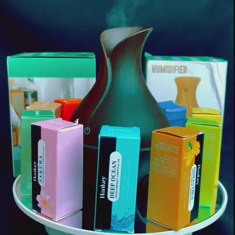 1 Diffuseur acheté 1 parfum aux choix offert